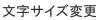 �����T�C�Y�ύX
